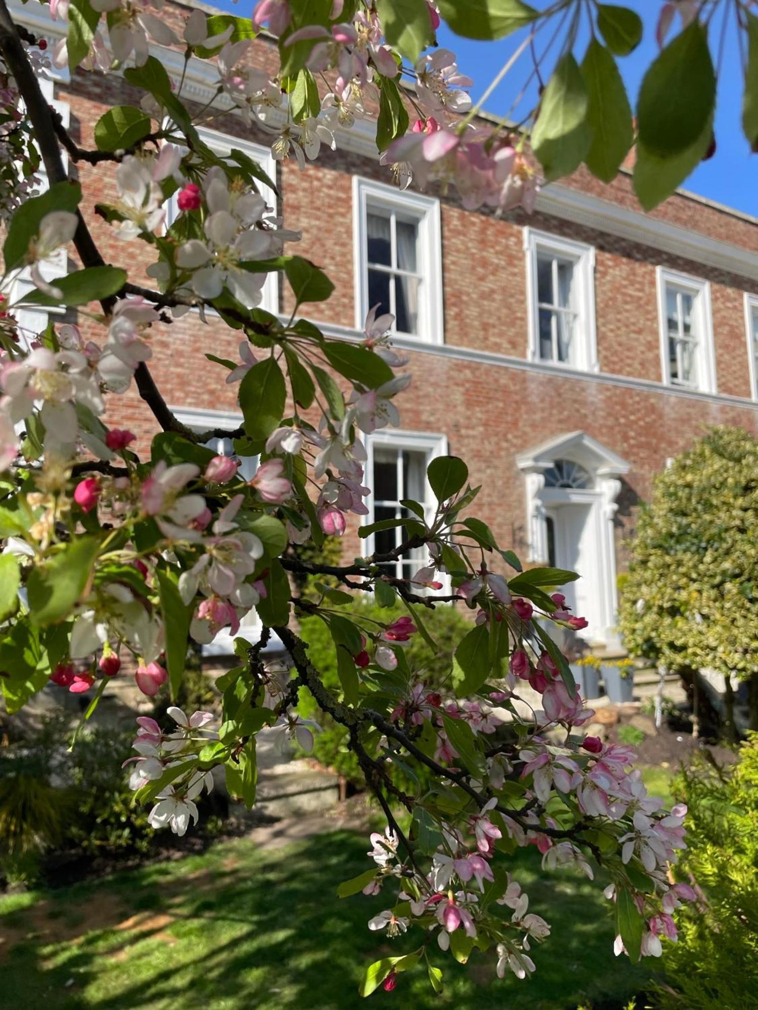 Highgate House Bed & Breakfast Whitby Exterior photo